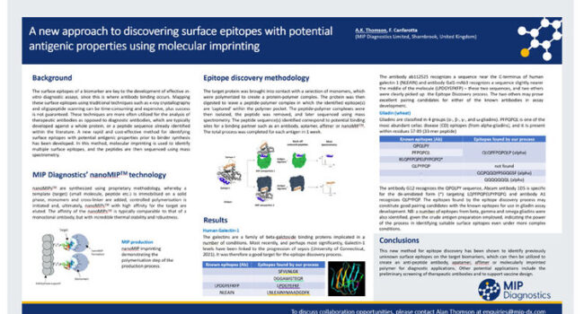 A new approach to discovering surface epitopes with potential antigenic properties